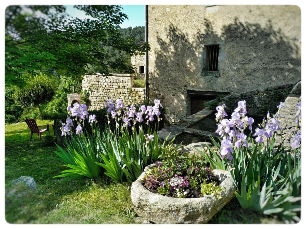 Oracines Du Calme Maison Helianthy Sanilhac  Exterior foto
